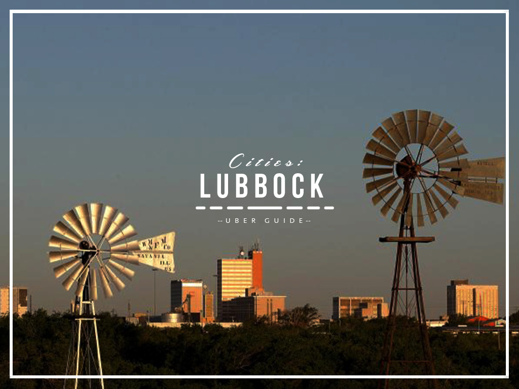 Común sin sentido Lubbock, TX (50 Estados USA)