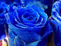rose flowers flower desktop wallpapers please roses background pretty rare bleu tattoo exotic blues amazing lovely able colors bg leaves