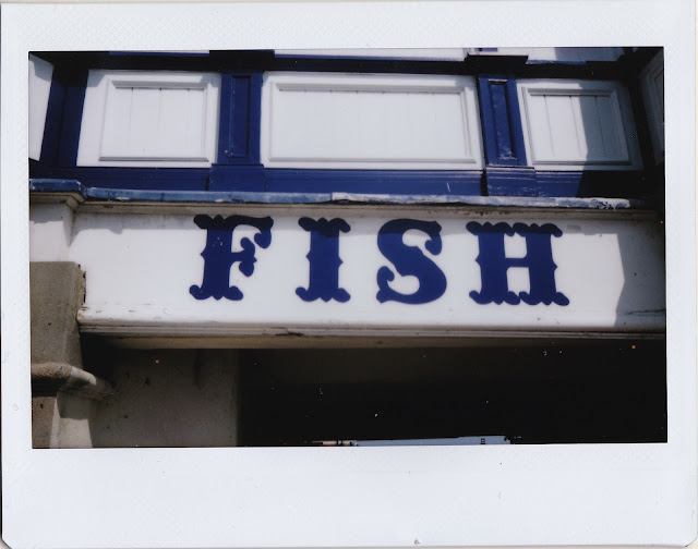 eastbourne polaroid eastbourne polaroid