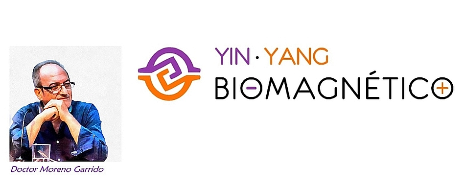Yin Yang Biomagnético