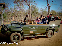 Panna National Park  Panna National Park is situated in the central Indian state of Madhya Pradesh, at a distance of around 57 km from Khajuraho. It was created in 1981 and was declared a Project Tiger Reserve by Government of India in 1994.The region, famous for its diamond industry, is also home to some of the best wildlife species in India and is one of the most famous Tiger Reserves in the country. The park is known worldwide for its wild cats, including tigers as well as deer and antelope. Due to its closeness to one of the best-known Indian tourist attraction in India, Khajuraho, the park is recognized as an exciting stop-over destination.Tiger sighting is always a matter of chance but regular sightings of animals like Leopard, Wolf and Gharial. Herds of Blue Bulls, Chinkaras and Sambars are a common sight. The park can probably boast of the highest density of the Paradise Fly-Catchers. This rich avian and faunal life combined with its picturesque scenery make a visit to the Park memorable.The avifauna comprises more than 200 species, including a host of migratory birds. One can see white necked stork, bareheaded goose, honey Buuzzard, King vulture, Blossom headed Parakeet, Paradise flycatcher, Slaty headed Scimitar babbler to name a few.Till few years back, Panna Wildlife Sanctuary was popular by the name of Panna Tiger Reserve and attracted wildlife lovers from all over the world. But with the disappearance of Tiger population from Panna National Park, it becomes is struggling to maintain its identity. But now authorities of Panna National Park have made up their mind to promote it as a National Park having rare species of Vultures. So picture of Vulture/s give a new face to Panna National Park. Presence of 6 rare species of vultures in Panna forest are being promoted to give some reason to wildlife lovers for visiting it. About 1700 Vultures have been counted in Panna National Park.The Ken river , which flows through the Reserve from south to north, is home for Gharial and Mugger, and other aquatic fauna and is one of the least polluted rivers and a tributary of Yamuna. It is one of the sixteen perennial rivers of Madhya Pradesh and is truly the life line of the Reserve. Ken offers some of the most spectacular scenery to the visitor while it meanders for some 55 km through the reserve.Nearby resorts, offer a variety of nature excursions. Morning and evening walks in the lap of nature are truly wonderful experiences.We saw the national Bird in its full beauty. Doing a beautiful dance to woo the Pehen during the rains.And of course we too got drenched in those rains.There are no jeeps provided by the park authorities, so you will have to rent your own jeep for a safari into the park. Mostly the resorts around the park have their own jeeps which can be hired for the Safari. There are two timings for the Safari - Morning and Evening. We experienced both of them and both were equally nice and interesting.Overall, Panna National park is a must visit for nature and animal lovers!