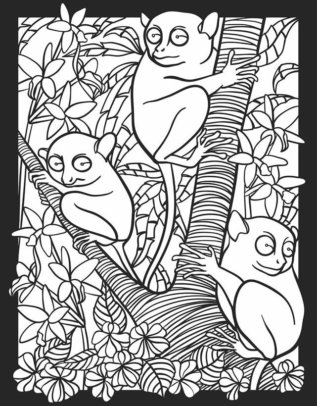 Childhood Education: Nocturnal Animals Coloring Pages Free Colouring