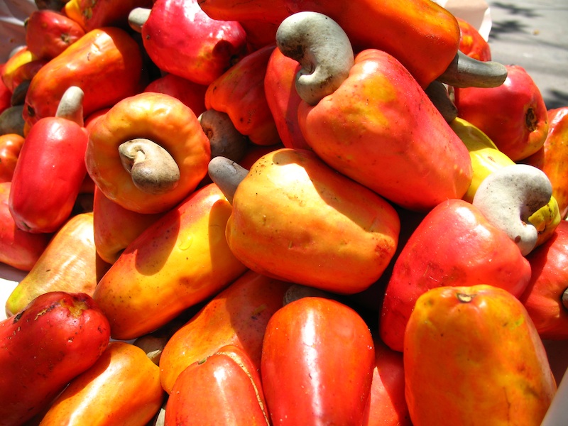 Vitaminben Health Benefits of The Cashew Fruit