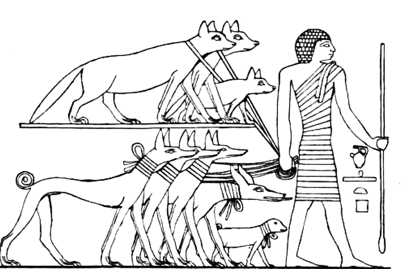 Служащий в древнем египте. Собаки в древнем Египте. Изображение собак в древнем Египте. Собаки в искусстве древнего Египта. Одомашнивание животных в древности.