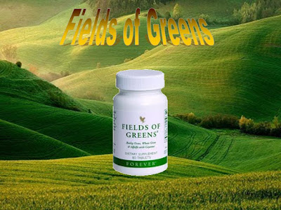 Forever living fields of greens malaysia