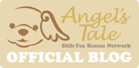 Angel's Tale Blog