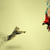 Top 10 FB Cover Photo Images Greetings, Pictures for WhatsApp-bestwishespics