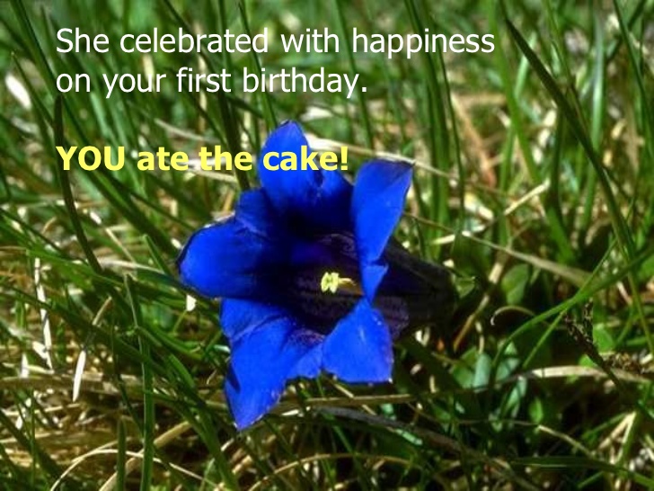 موضوع عن الامومة المرسال