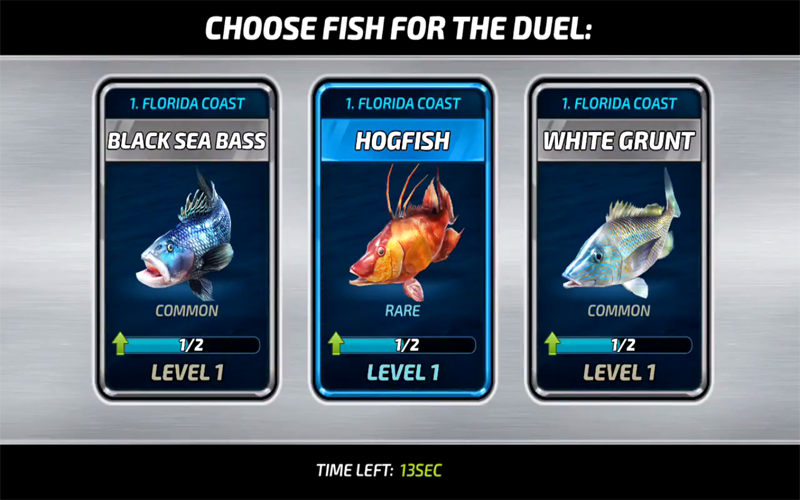 Fishing Clash Guide