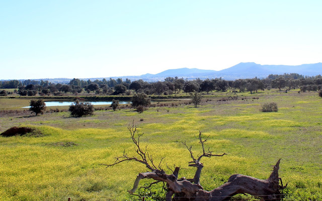 Parque Perirurbano de Conservación y Occio Moheda Alta. Navalvillar de Pela