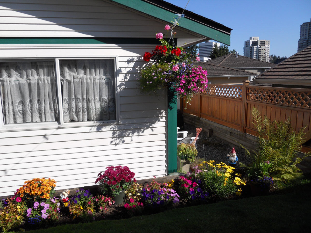 House of Houben: My flower garden.
