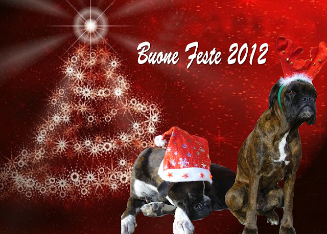 aiutami rescueboxer: 85 Musetti vi augurano buone feste!