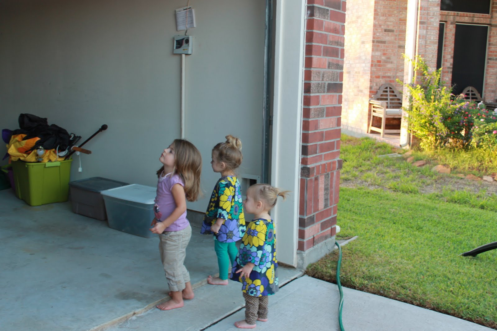 The Wilcox Blog Pork and beans, grills, and bouncy houses....