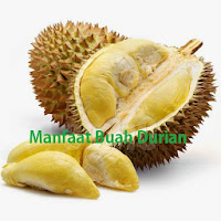 Buah Durian Kuning