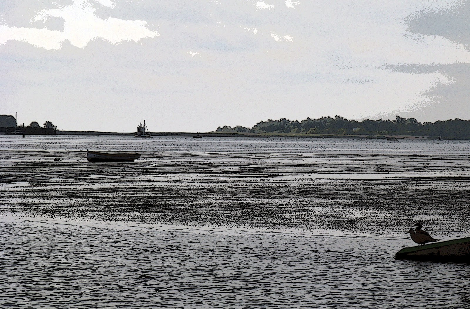 Lacunae Musing Political Low Tide