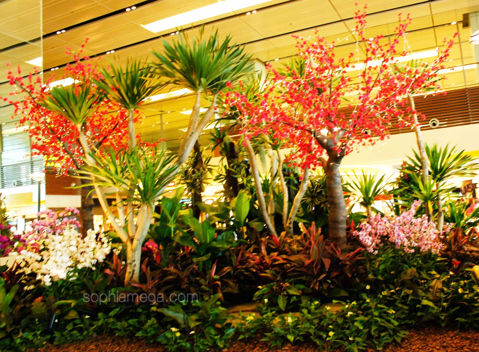 Garden Changi Airport