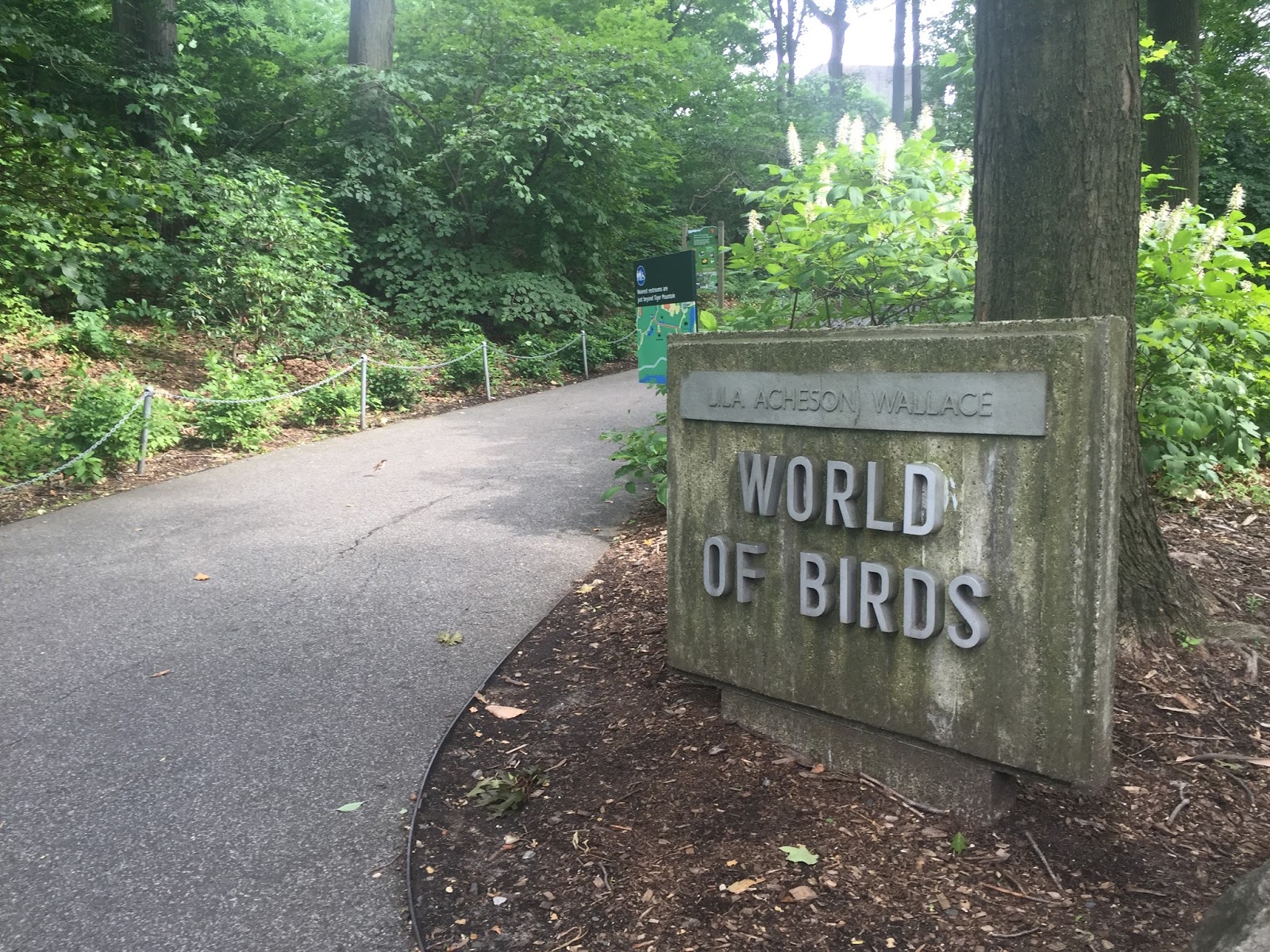 Earth on the Wing: Exploring the World of Birds at the Bronx Zoo