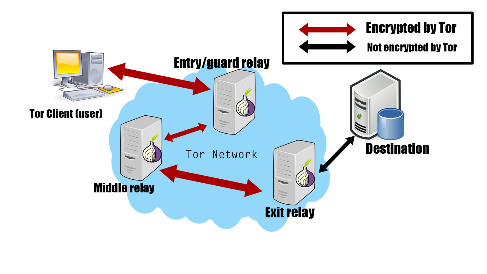 Как загружать торрент через браузер тор вход на гидру анонимная сеть freenet режим darknet