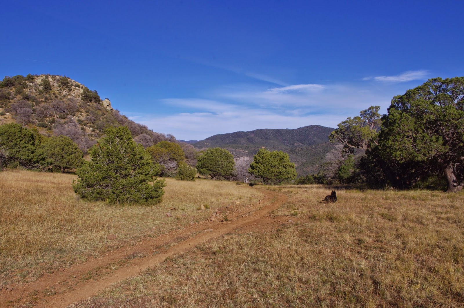 Southern New Mexico Explorer "A" Trail ( FT 119) Lincoln National Forest