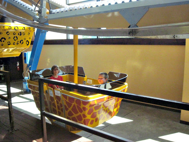 indoor theme park farris wheel