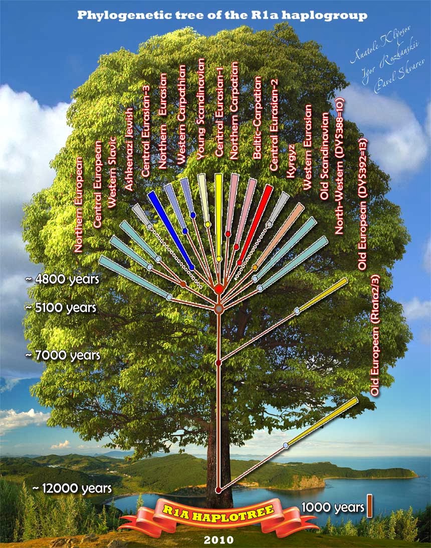 Генетика деревьев. Дерево ДНК. Дерево ДНК генеалогии. Древо ариев. Генеалогическое Древо r1a.