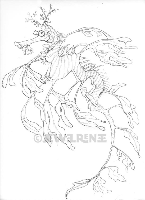 ocean dragon coloring pages - photo #11