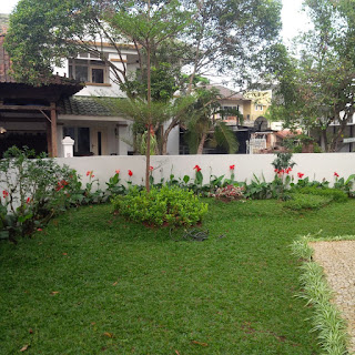 TUKANG TAMAN ICON BSD | JASA TUKANG TAMAN DI ICON TUKANG TAMAN ICON BSD | JASA TUKANG TAMAN DI ICON