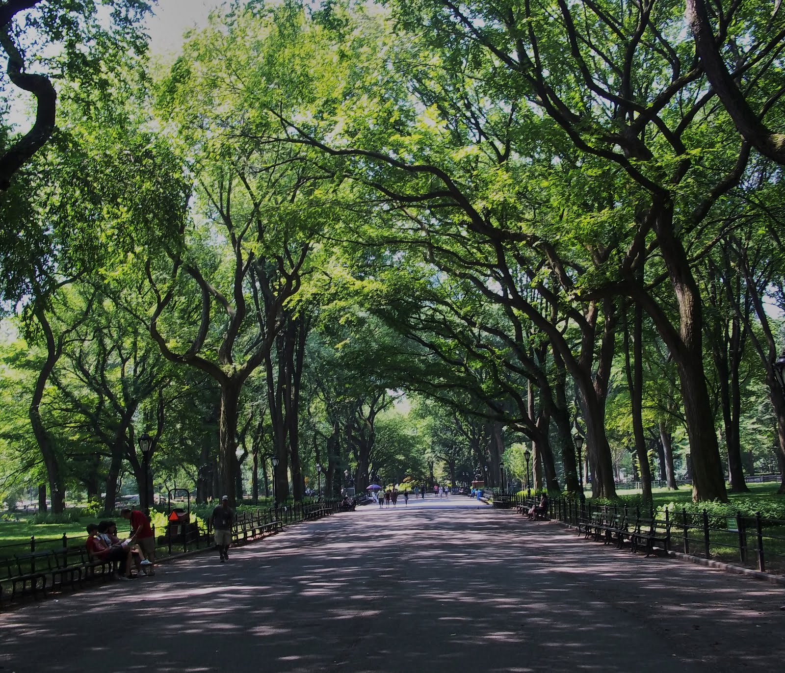 п. вход в цпкио стоимость. зеленый парк в нью йорке. часы работы центрального парка. александр гамильтон центральный парк нью-йорк.