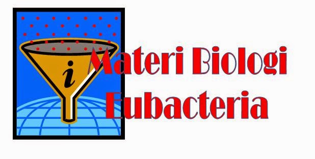 Pengertian Eubacteria, Klasifikasi Eubacteria, dan Reproduksi Eubacteria