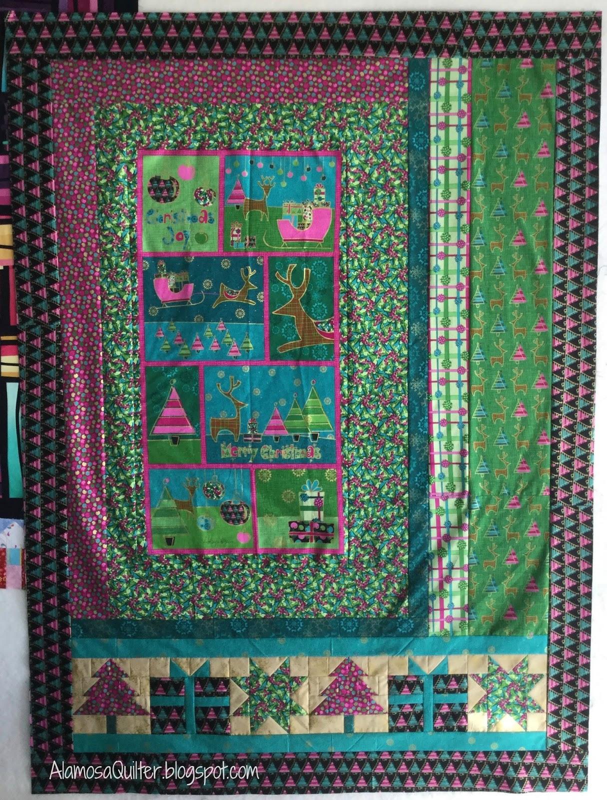 Alamosa Quilter Panel Quilt Series First One