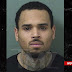 Chris Brown reportedly arrested after Florida concert 