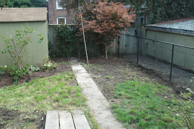 The Junction backyard garden clean up after by Paul Jung Gardening Services Toronto