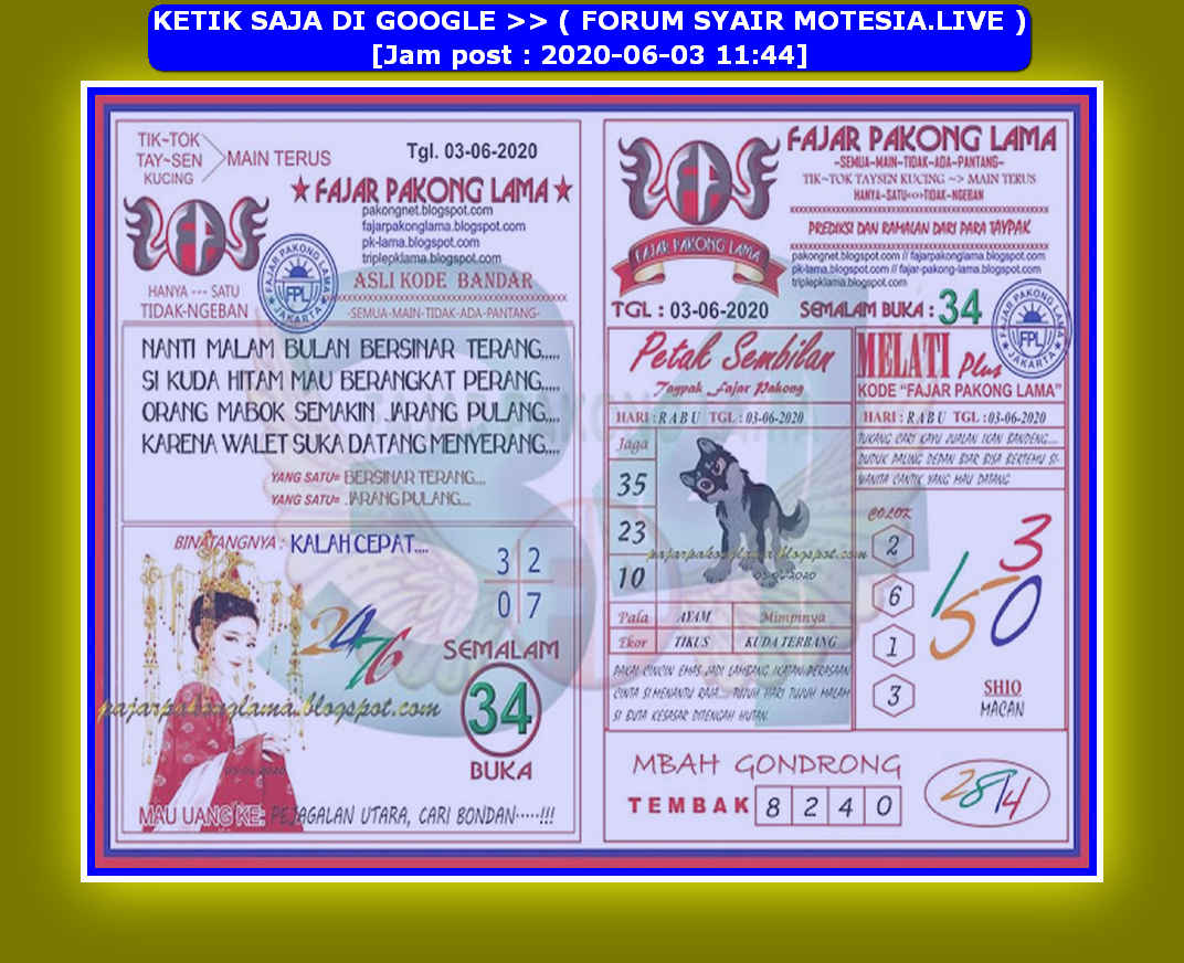 forum syair hk Meloditogel