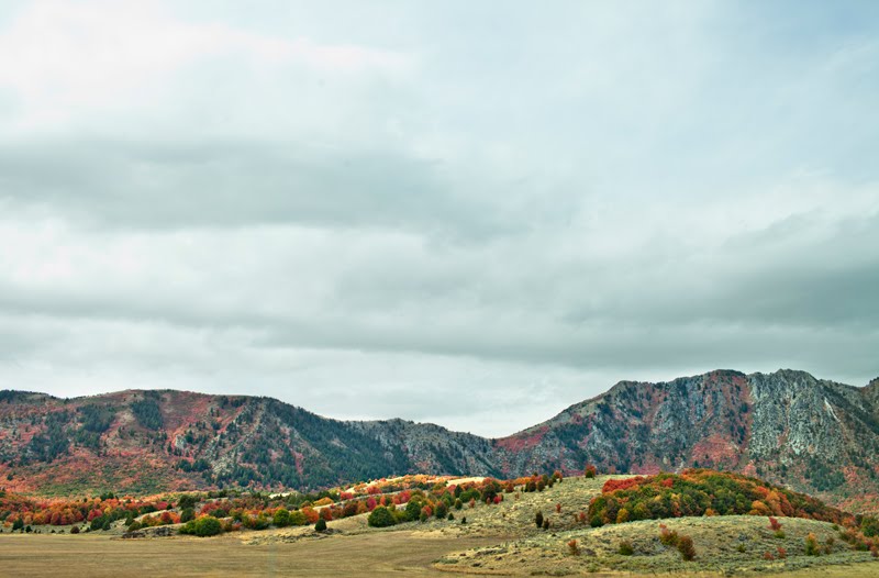 Pie Sardine Canyon / Box Elder, Utah