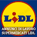 Lidl: Lavoro nei Supermercati (Come Candidarsi e Requisiti)