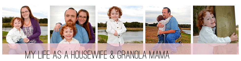 My Life As A Housewife & Granola Mama