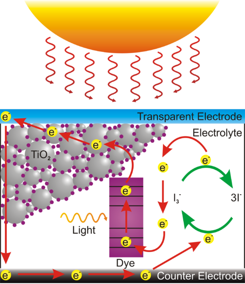 Researchers from the Applied Nano Tech & Science Lab at Korea Advanced