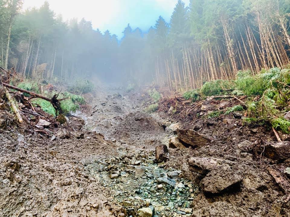 Clean Up on the South Thorne Bay/Kasaan Road is Underway P.O.W. Report