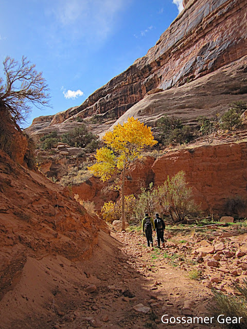 grand gulch autumn