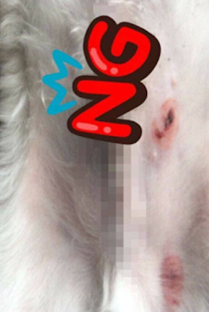 이미지에 대체텍스트 속성이 없습니다; 파일명은 K-014.png 입니다.