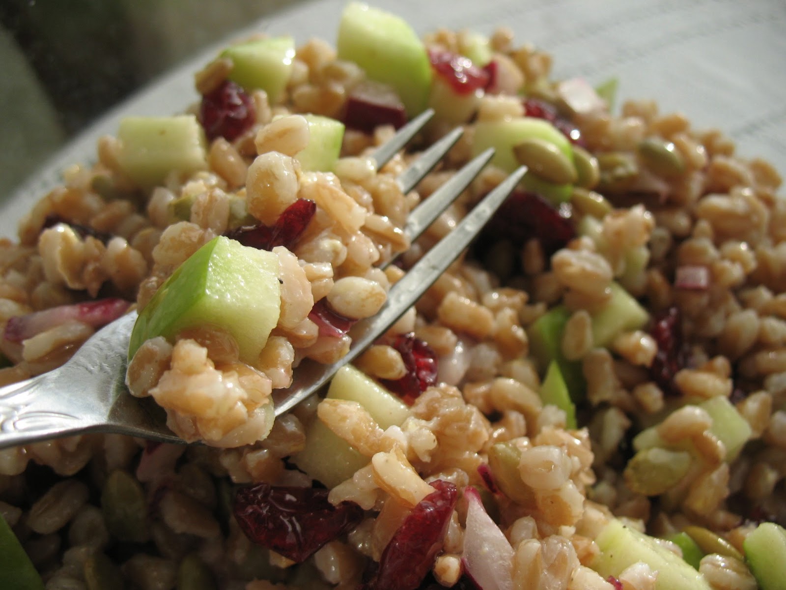 The Messy Apron Farro and Apple Salad