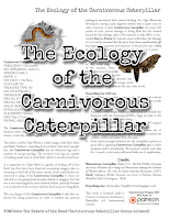 The Ecology of the Carnivorous Caterpillar