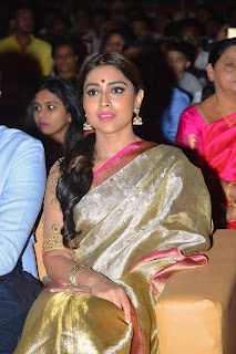 gautamiputra satakarni audio launch hd photos gautamiputra satakarni audio launch hd photos