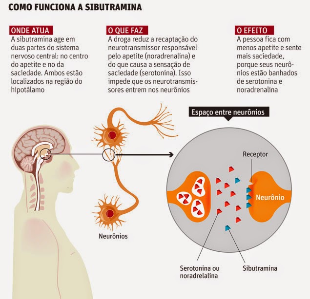 ENTENDA COMO FUNCIONA A SIBUTRAMINA - SOBRE TODAS AS COISAS