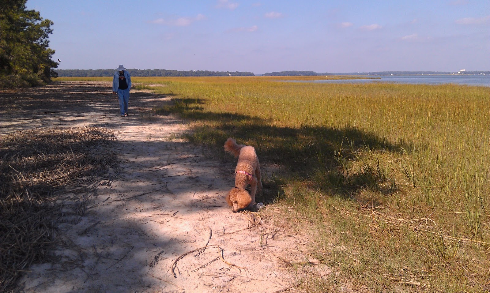 The Simmons Saga Skidaway Island Georgia After Filling The Tank We Drove A Few Miles To End Of Island Where Land Meets Intercoastal Waterway Here S Some Pictures What Saw