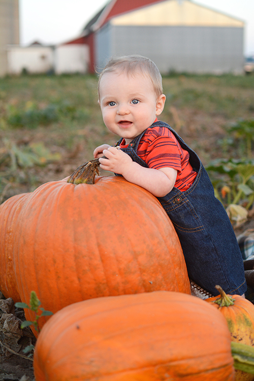 Fall, Pumpkin Patch | My Darling Days Fall, Pumpkin Patch | My Darling Days
