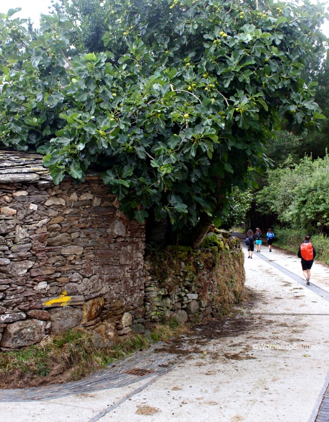 flecha-camino-de-santiago-taller-de-camino-womantosantiago