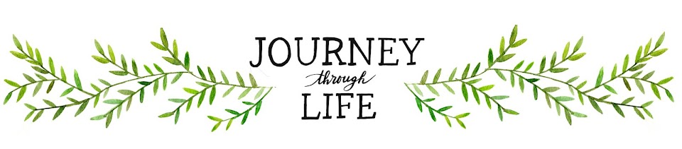 terms for journey through life