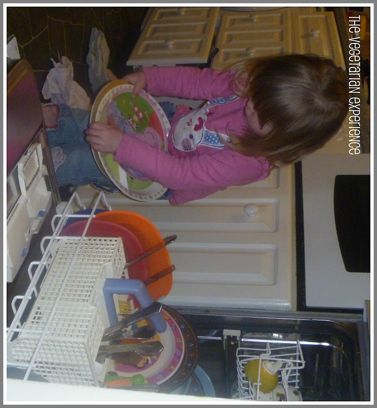 The Vegetarian Experience How To Keep On Top Of The Housework When You the-vegetarian-experience-how-to-keep-on-top-of-the-housework-when-you