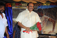 Three Audio Launch Gallery [Andhrula Music]